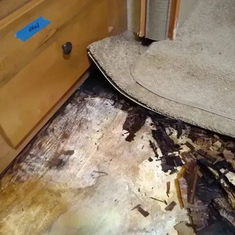 Wood Floor Water Damage in Mayo, SC